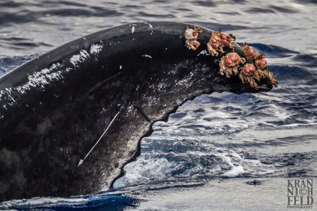 IMAGE: http://i10.photobucket.com/albums/a101/Lylefk/IMG_0045-1.jpg