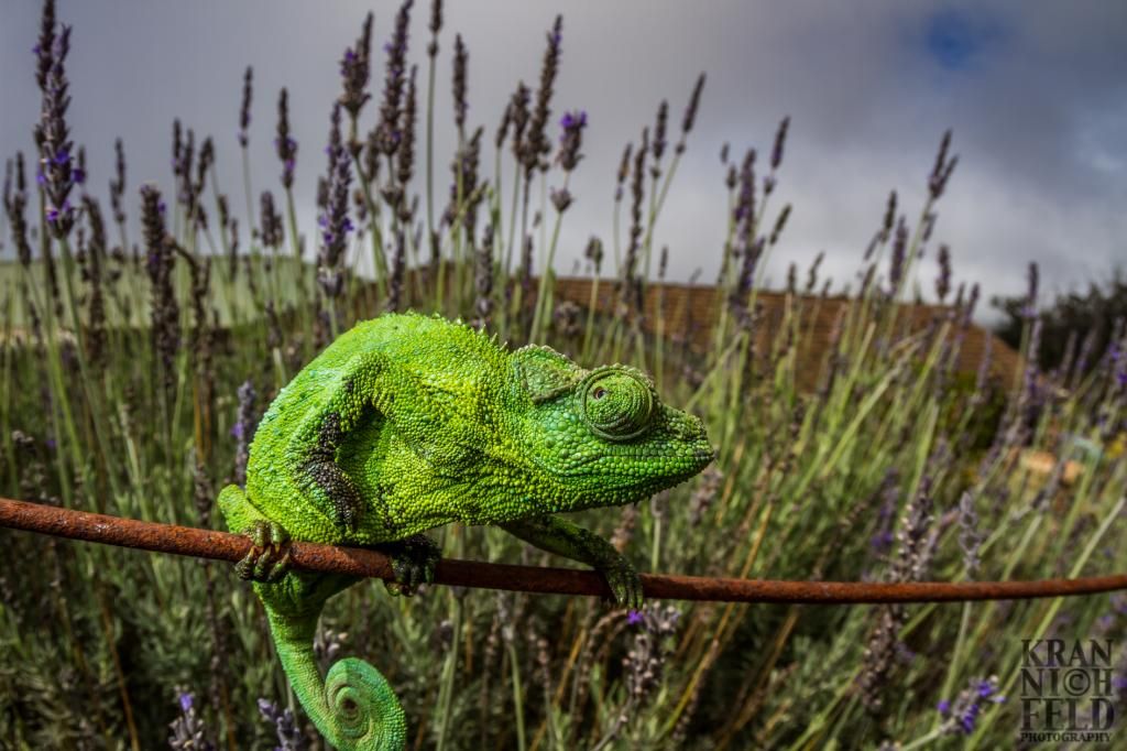 IMAGE: http://i10.photobucket.com/albums/a101/Lylefk/IMG_7166.jpg