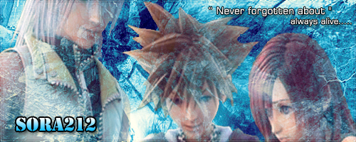 Sora212copy.png