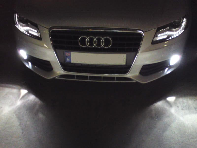 DSC00019.jpg?t=1247772332