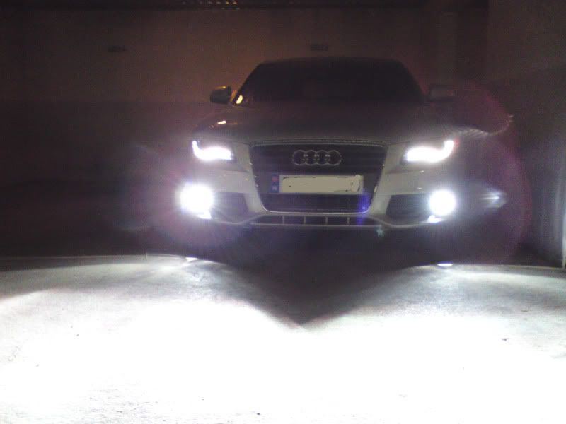 DSC00020.jpg?t=1247772363