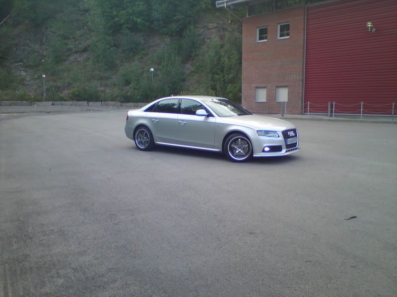 DSC00119-3.jpg?t=1250791474