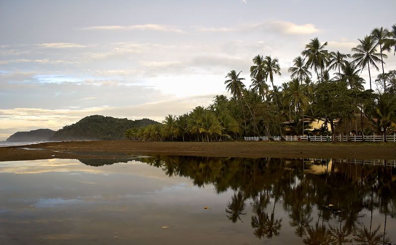 IMAGE: http://i10.photobucket.com/albums/a103/freddyphoto/IMG_1583_L.jpg