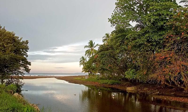 IMAGE: http://i10.photobucket.com/albums/a103/freddyphoto/IMG_1586-1_L.jpg