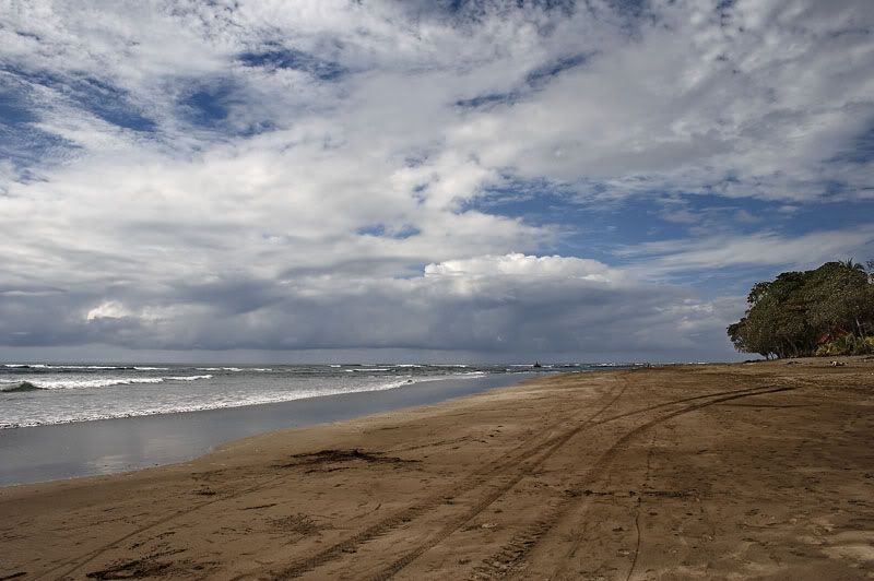 IMAGE: http://i10.photobucket.com/albums/a103/freddyphoto/IMG_1637_L.jpg