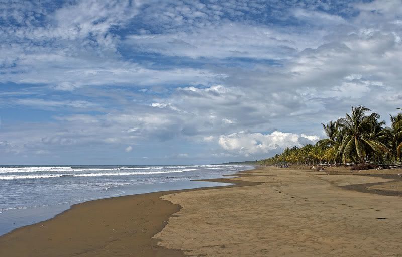 IMAGE: http://i10.photobucket.com/albums/a103/freddyphoto/IMG_1674_L.jpg