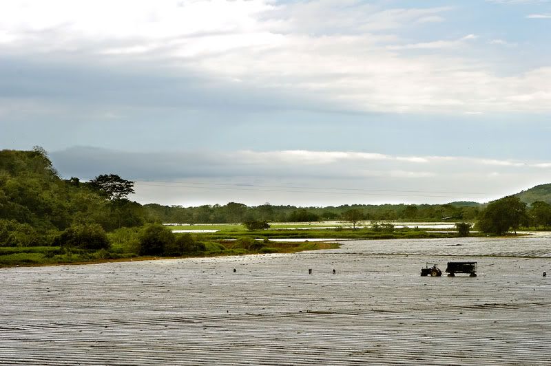 IMAGE: http://i10.photobucket.com/albums/a103/freddyphoto/IMG_1678_L.jpg