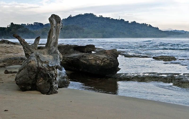 IMAGE: http://i10.photobucket.com/albums/a103/freddyphoto/IMG_1713-1_L.jpg