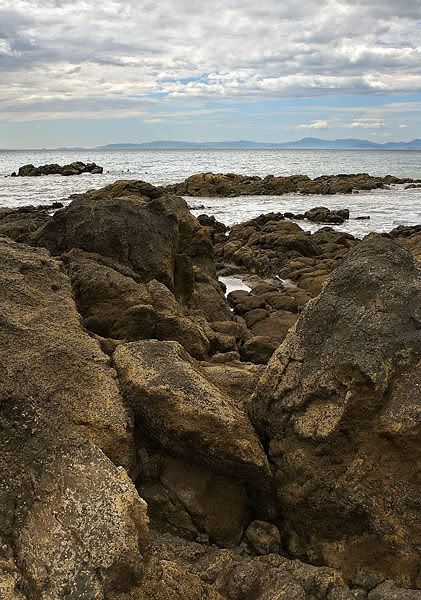 IMAGE: http://i10.photobucket.com/albums/a103/freddyphoto/IMG_1888-1_L.jpg