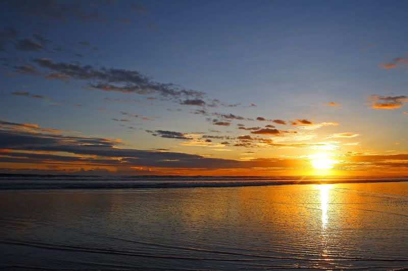 IMAGE: http://i10.photobucket.com/albums/a103/freddyphoto/IMG_1933_L.jpg