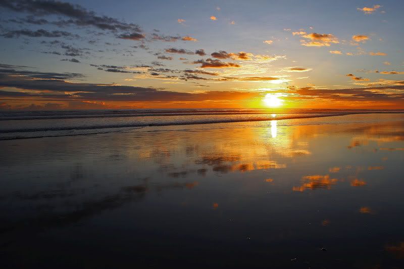 IMAGE: http://i10.photobucket.com/albums/a103/freddyphoto/IMG_1934_L.jpg