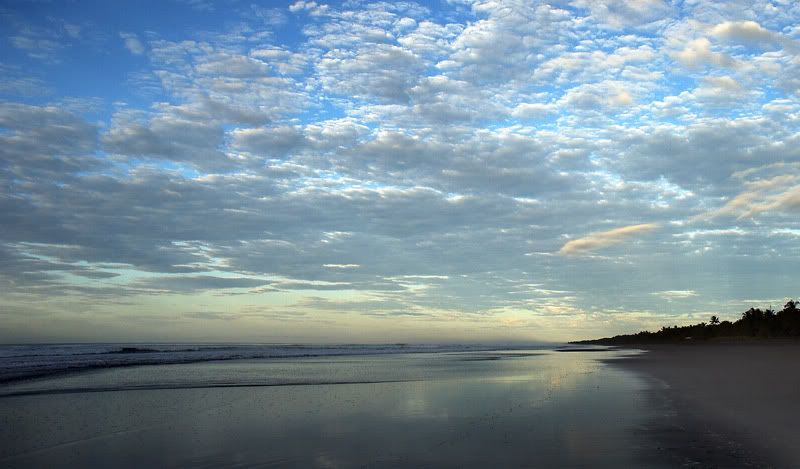 IMAGE: http://i10.photobucket.com/albums/a103/freddyphoto/IMG_1983_L.jpg