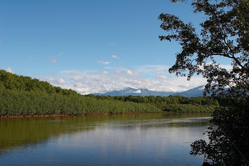 IMAGE: http://i10.photobucket.com/albums/a103/freddyphoto/IMG_1997_L.jpg