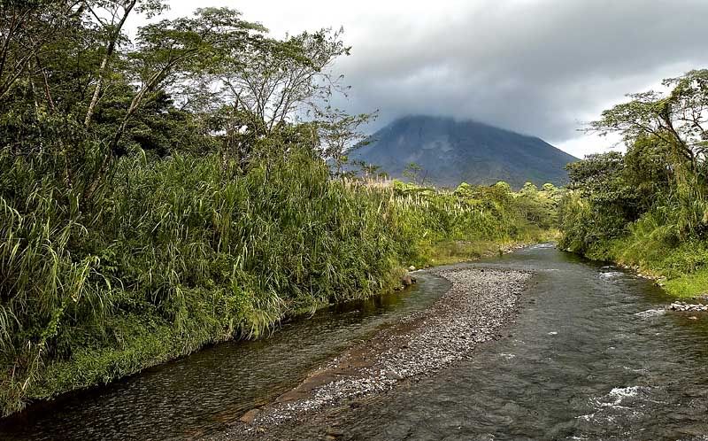 IMAGE: http://i10.photobucket.com/albums/a103/freddyphoto/IMG_2315_L.jpg