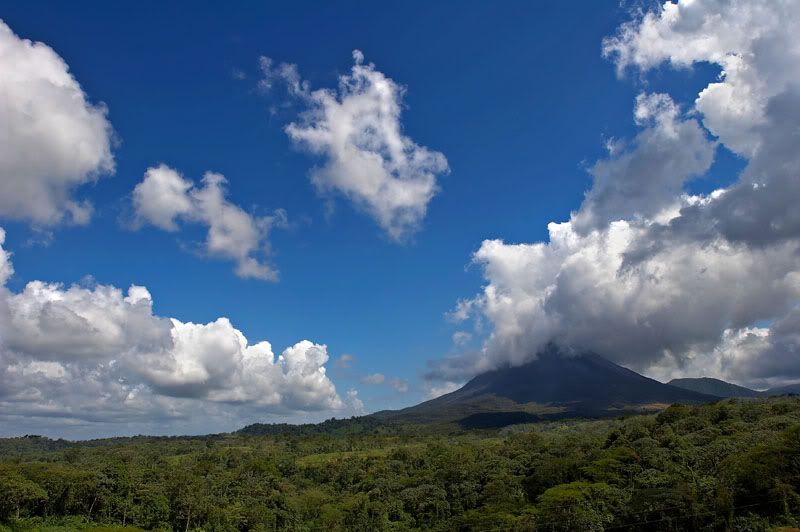 IMAGE: http://i10.photobucket.com/albums/a103/freddyphoto/IMG_2401_L.jpg