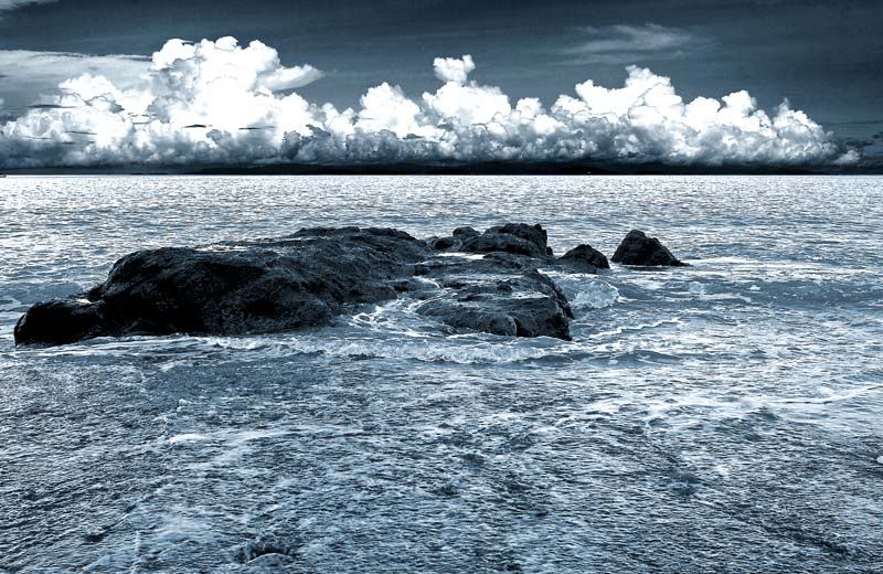 IMAGE: http://i10.photobucket.com/albums/a103/freddyphoto/IMG_7151lflat.jpg