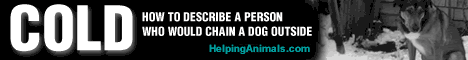 HelpingAnimals.com