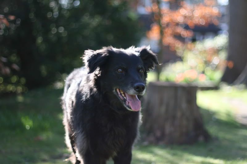 IMAGE: http://i10.photobucket.com/albums/a103/stuuk1/IMG_2814.jpg