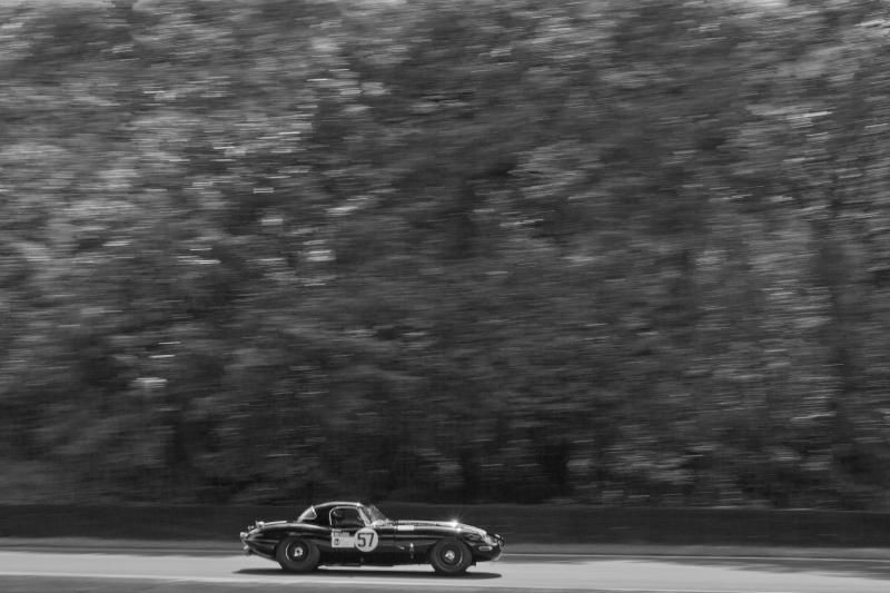 IMAGE: http://i10.photobucket.com/albums/a103/stuuk1/IMG_7646.jpg