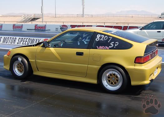 Gold Crx