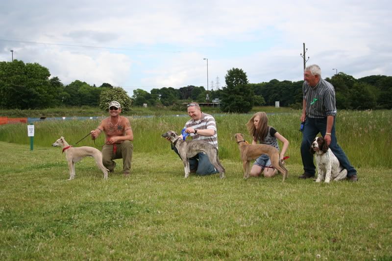 dogshow.jpg