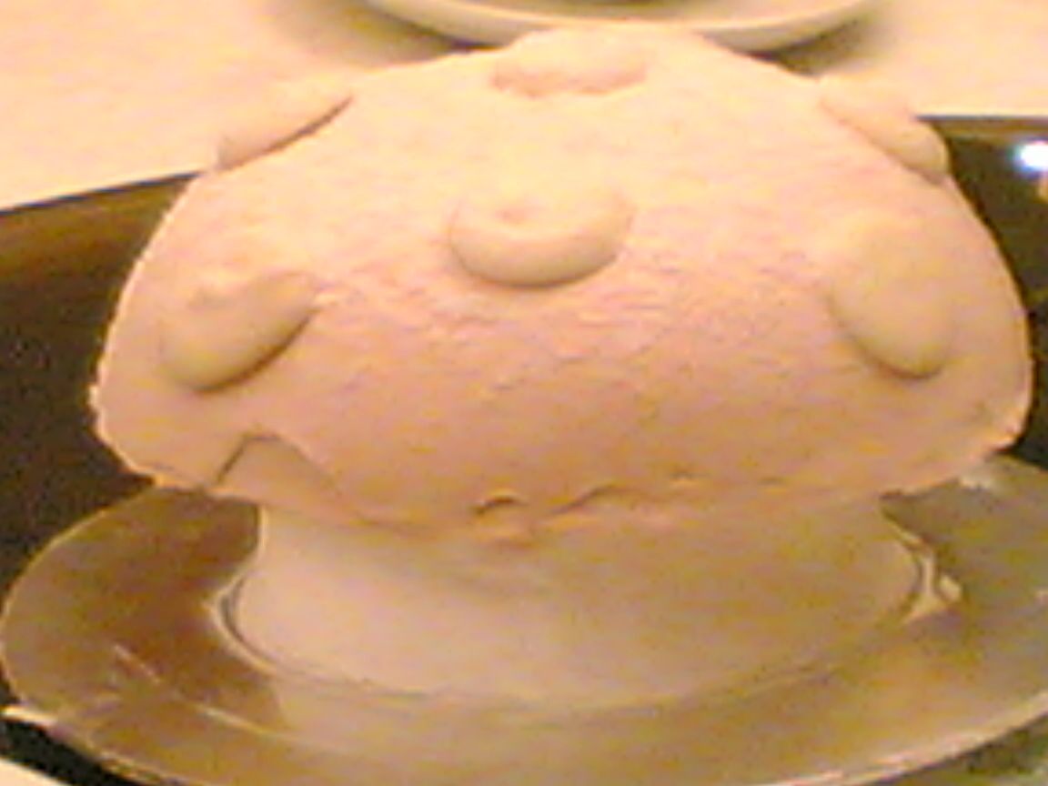 Image hosted by Photobucket.com