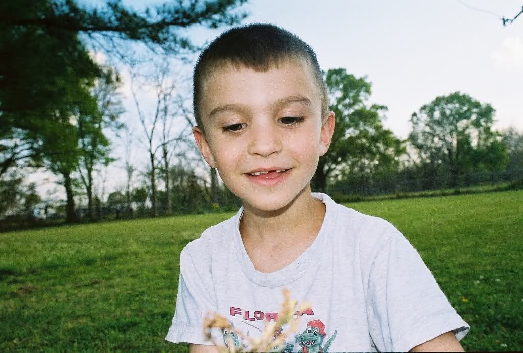 IMAGE: http://i10.photobucket.com/albums/a106/soadrockever/809198-R1-006-1A_001.jpg