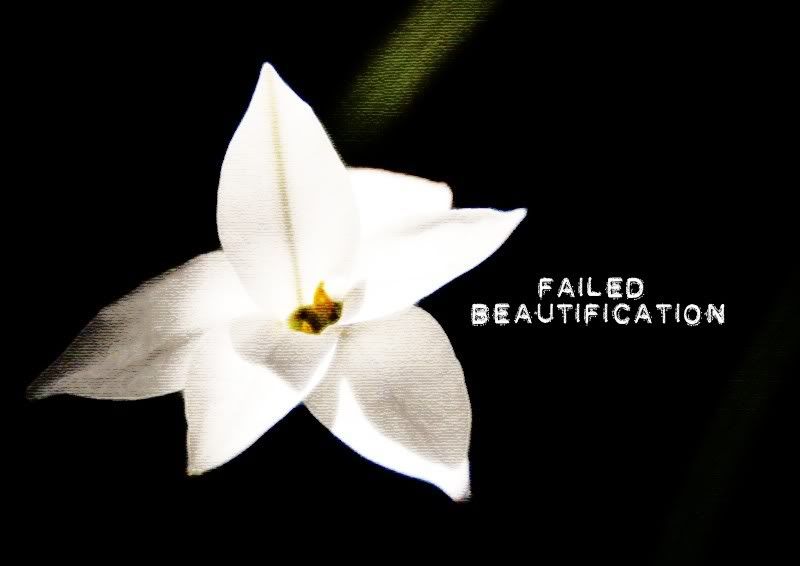 Failed Beautification