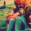 kirjava17icons