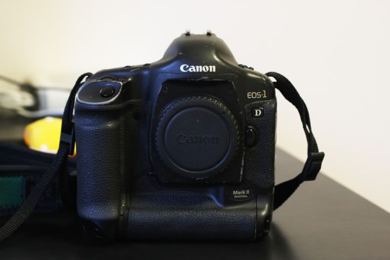 IMAGE: http://i10.photobucket.com/albums/a109/oceanloverm/IMG_4297.jpg