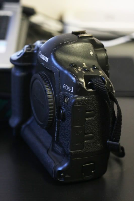 IMAGE: http://i10.photobucket.com/albums/a109/oceanloverm/IMG_4299.jpg