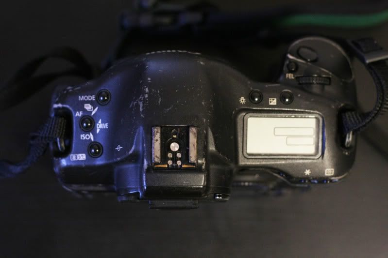 IMAGE: http://i10.photobucket.com/albums/a109/oceanloverm/IMG_4301.jpg