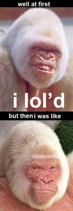 Forum Image: http://i10.photobucket.com/albums/a110/RoboJesus420/106x6vc.jpg