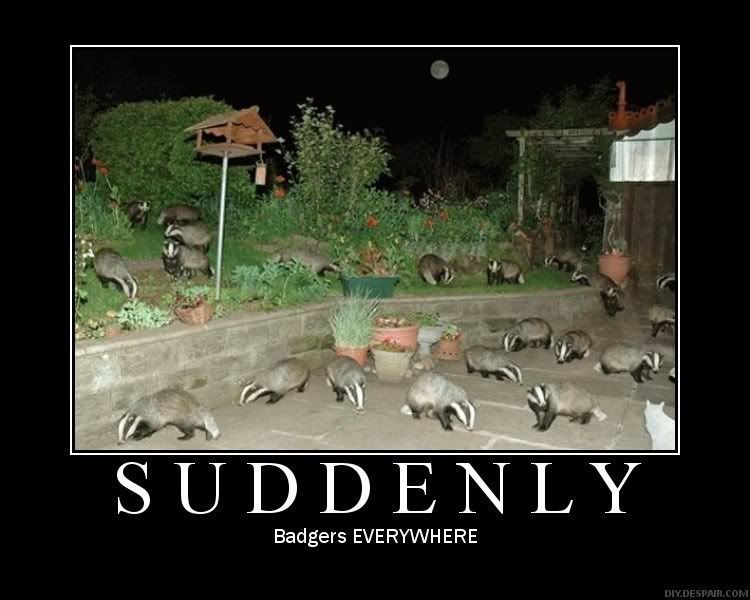 Forum Image: http://i10.photobucket.com/albums/a110/RoboJesus420/Posters/badgers.jpg