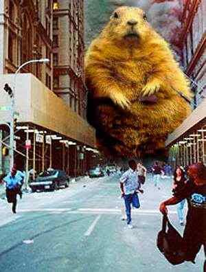 Forum Image: http://i10.photobucket.com/albums/a110/RoboJesus420/attack.jpg