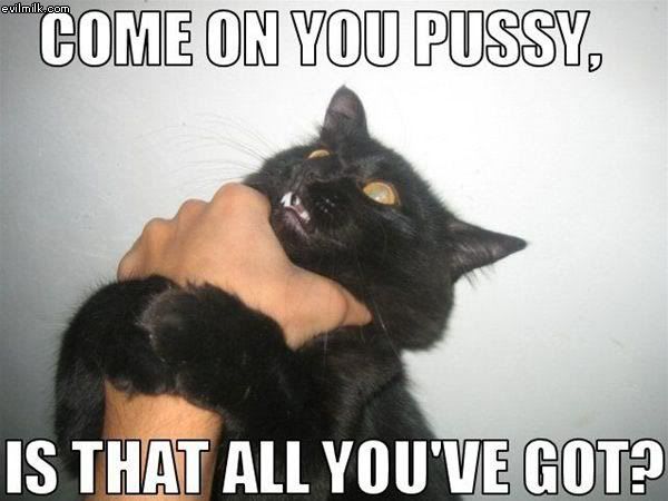 Forum Image: http://i10.photobucket.com/albums/a110/RoboJesus420/lolcats/All_You_Got.jpg