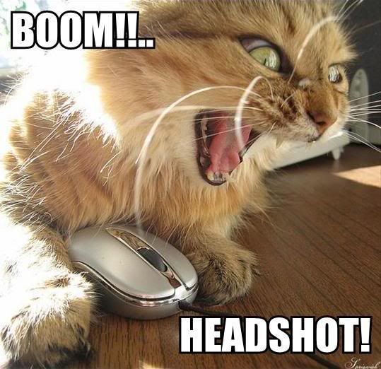 Forum Image: http://i10.photobucket.com/albums/a110/RoboJesus420/lolcats/boom-headshot.jpg