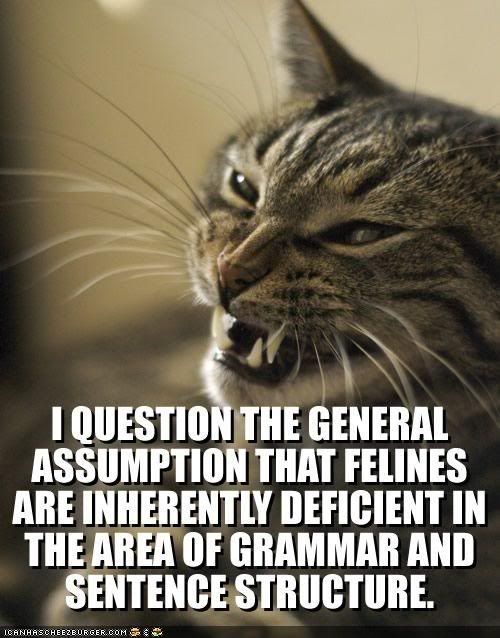 Forum Image: http://i10.photobucket.com/albums/a110/RoboJesus420/lolcats/funny-pictures-angry-cat-questions-.jpg