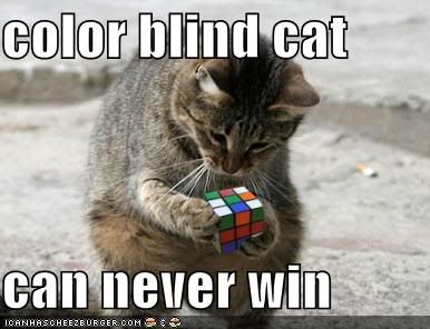 Forum Image: http://i10.photobucket.com/albums/a110/RoboJesus420/lolcats/funny-pictures-color-blind-cat-rubi.jpg