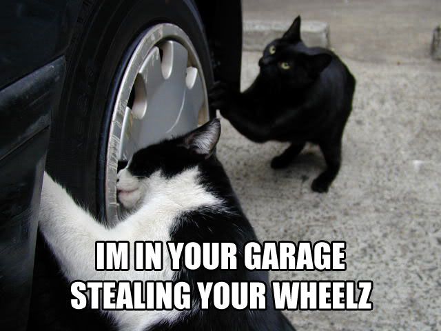 Forum Image: http://i10.photobucket.com/albums/a110/RoboJesus420/lolcats/stealinywheelz.jpg