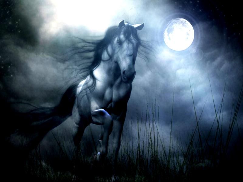  photo fantasy-horse-hd-wallpaper1_zps90b26547.jpg