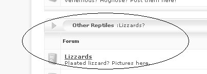 lizardspelling.png