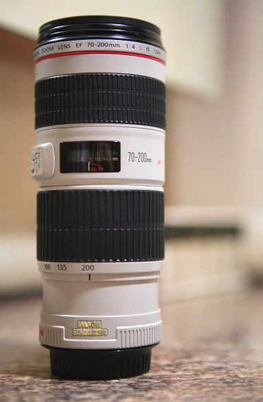 IMAGE: http://i10.photobucket.com/albums/a112/Davylam/IMG_5713_2.jpg