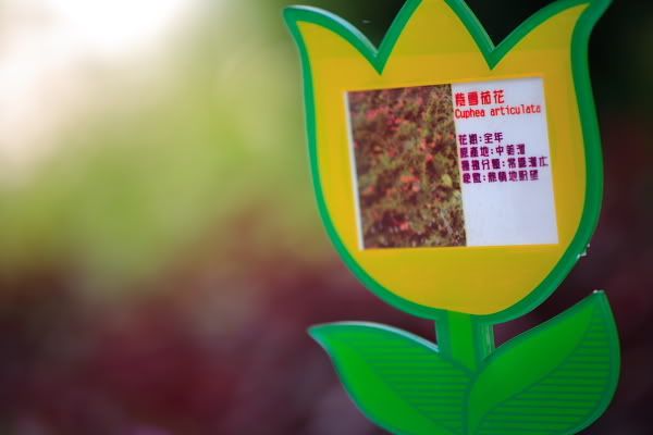 IMAGE: http://i10.photobucket.com/albums/a112/Davylam/IMG_5738.jpg