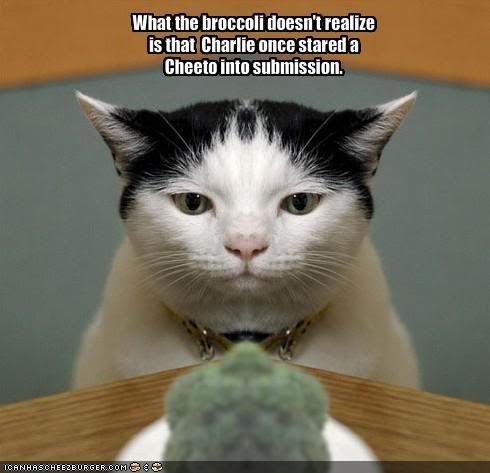 cat broccoli photo: funny-pictures-cat-stares-at-broccoli.jpg