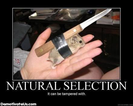 natural-selection-demotivational-po.jpg