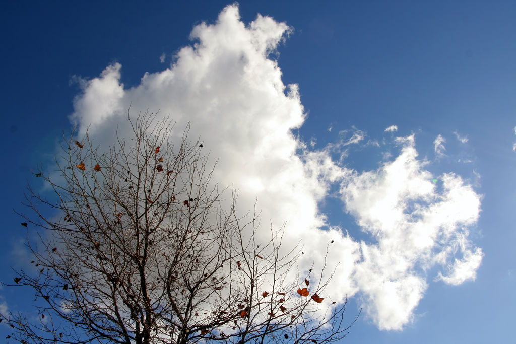 IMAGE: http://i10.photobucket.com/albums/a112/youknowbest/IMG_3206.png?t=1201086775