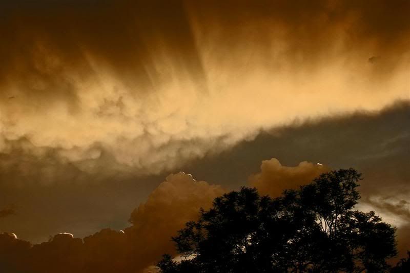 IMAGE: http://i10.photobucket.com/albums/a112/youknowbest/IMG_4664.jpg?t=1201086778