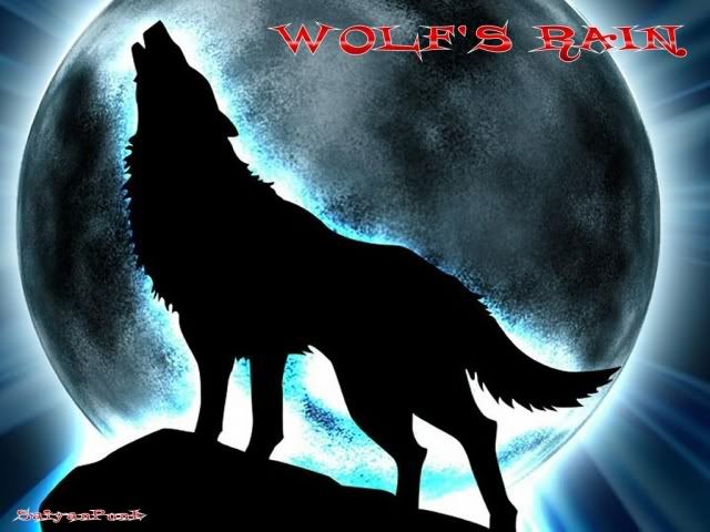 anime wolf wallpaper. Wolf#39;s Rain anime wallpapers