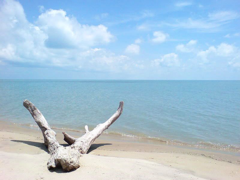 Dhanushkodi Old Photos